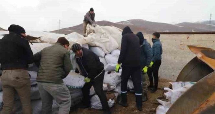 Ağrı’dan deprem bölgesine mısır silajları gönderildi