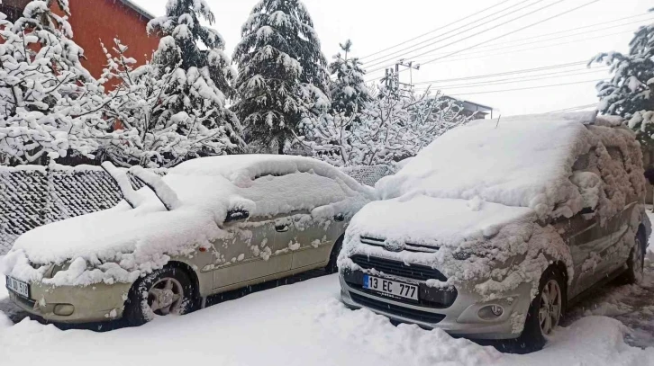 Ahlat’ta yoğun kar yağışı
