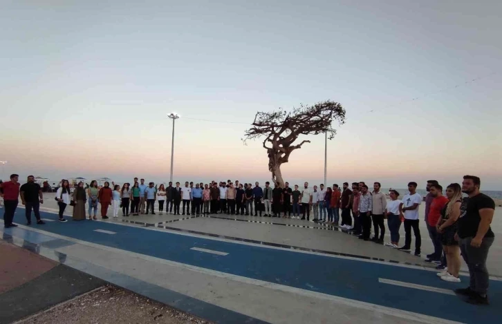 AK Partili gençlerden Mersin’deki ağaç katliamına tepki
