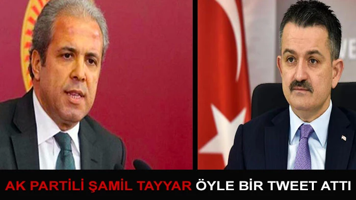 AK Partili Şamil Tayyar öyle bir tweet attı ki olay oldu