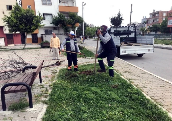 Akdeniz’de yenileme çalışmaları aralıksız sürüyor
