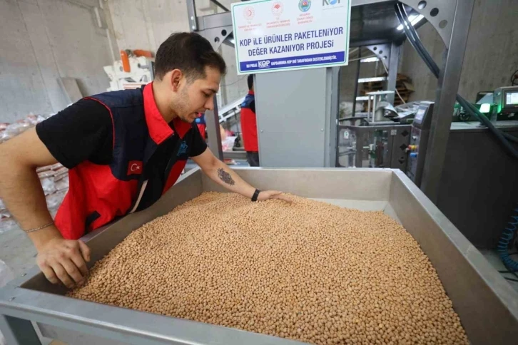 Aksaray Belediyesi hasat ettiği nohutları ihtiyaç sahiplerine ulaştırıyor
