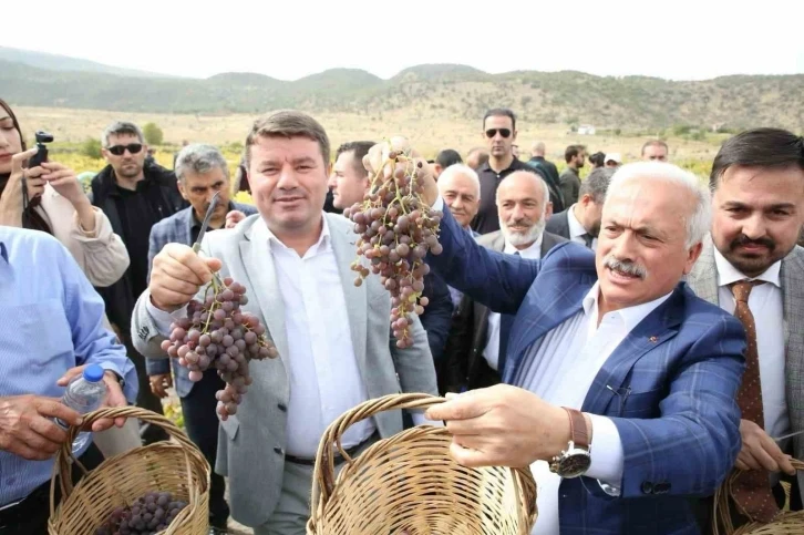 Aksaray’da 2. Geleneksel Bağ Bozumu ve Pekmez Festivali
