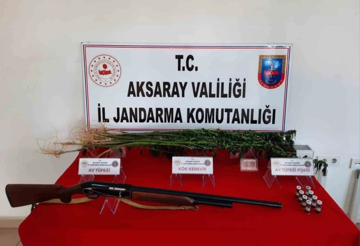 Aksaray’da kenevir yetiştiren şüpheli gözaltına alındı
