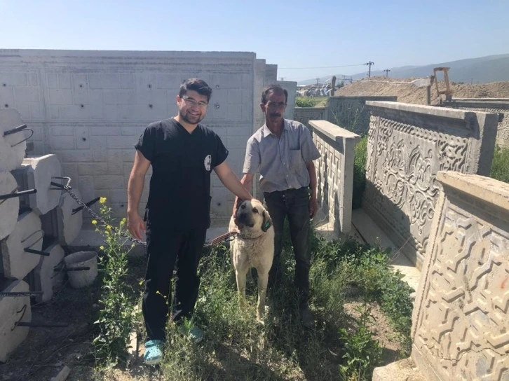 Akşehir Belediyesi sahipsiz sokak köpeklerini sahiplendiriyor

