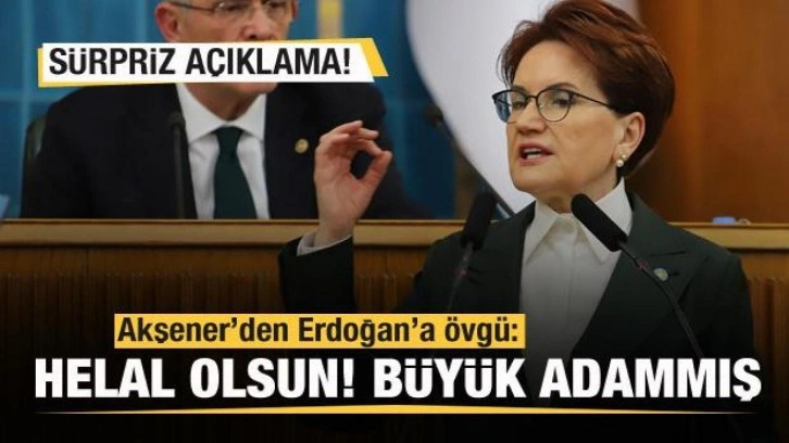 Akşener'den Başkan Erdoğan'a övgü: Helal olsun büyük adammış