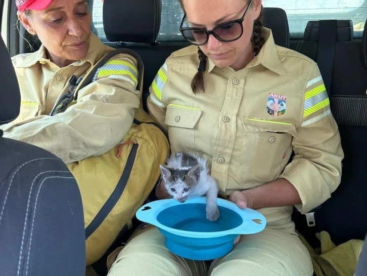AKUT Kuşadası ekibi, orman yangının ardından hayvanlara destek sağladı
