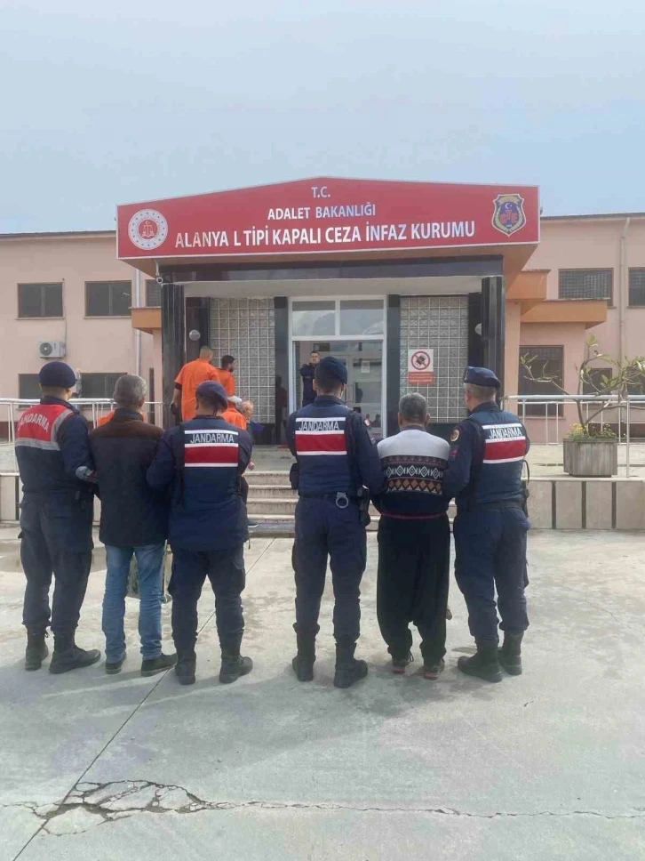 Alanya’da 15 kasa avokado çalan 2 hırsız yakalandı
