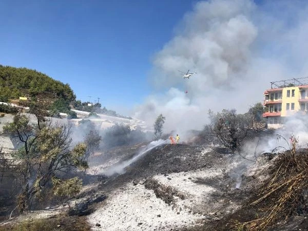 Alanya'da çalılık yangını