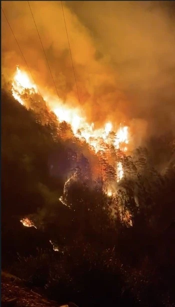 Alanya’da orman yangını
