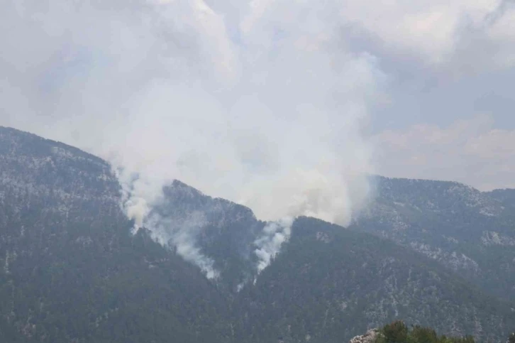 Alanya’da orman yangını
