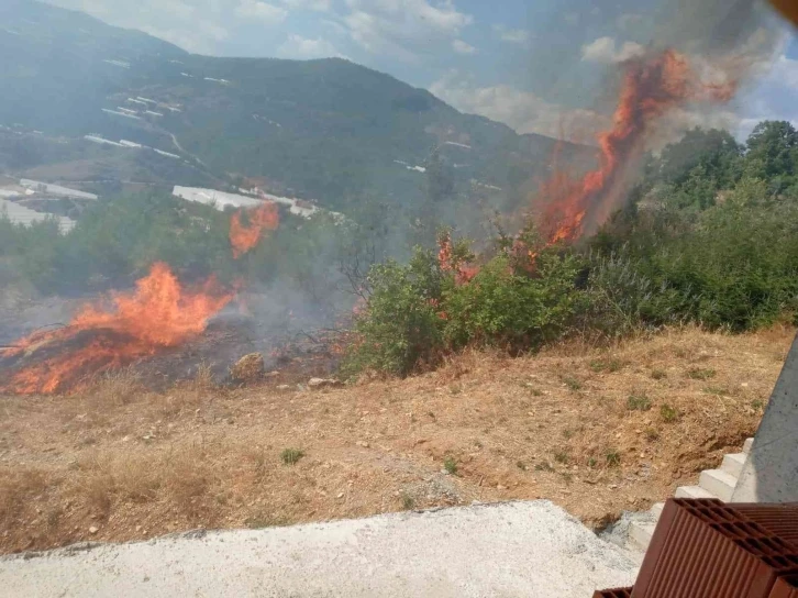 Alanya’da tarım arazisinde başlayan yangında 10 dönüm zarar gördü
