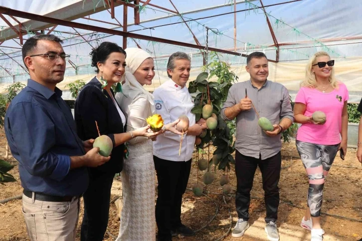 Alanya’da tropikal hasat şöleni
