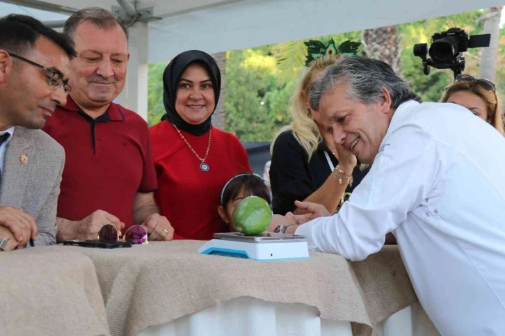 Alanya’nın en ağır avokadosu 610 gramla ödülü aldı
