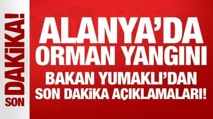 Alanya'da orman yangını: Bakan Yumaklı'dan son dakika açıklamaları!