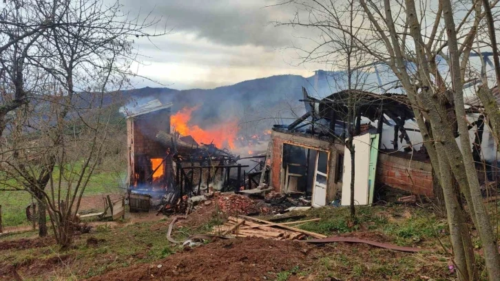 Alevlere teslim olan 3 katlı ev küle döndü
