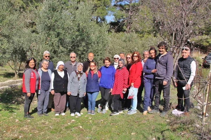 Almanlar ve İngilizler zeytin budamayı öğrendi
