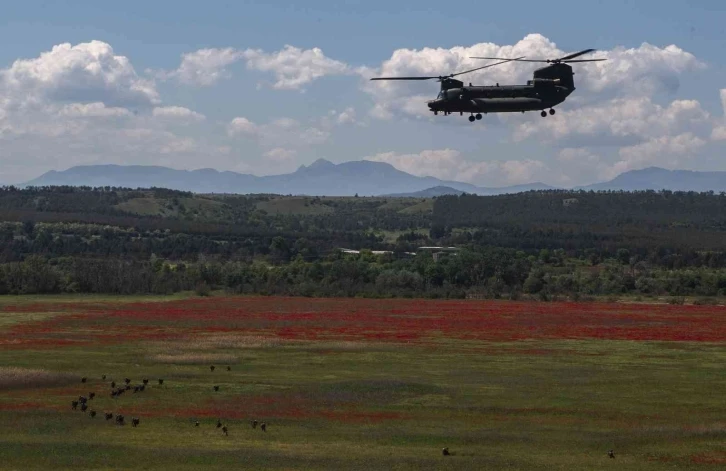 Almanya, 60 adet Chinook tipi helikopter alacak
