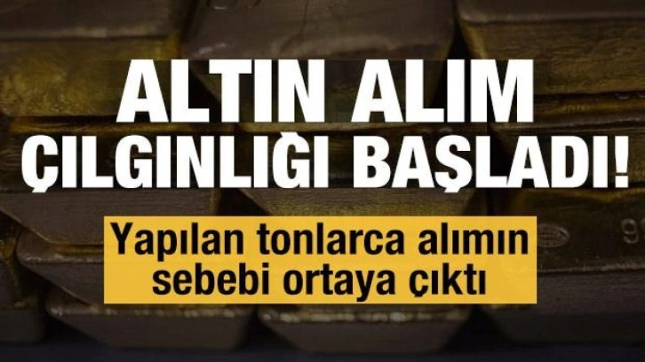 Altın alım çılgınlığı başladı! İşte yapılan tonlarca alımın sebebi...