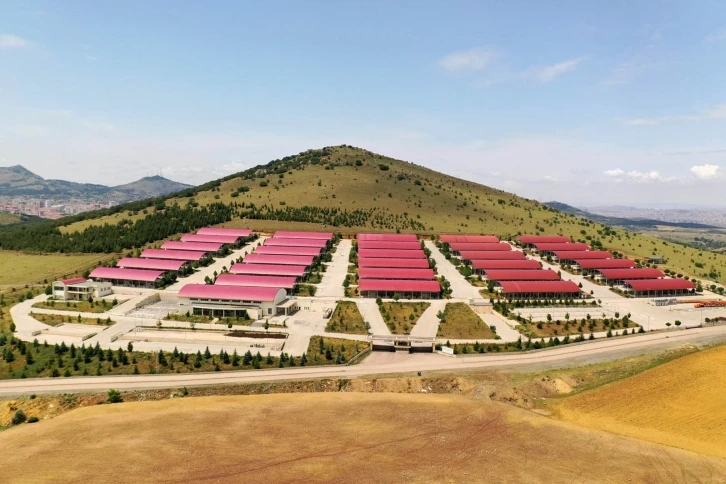 Altındağ’da kurban hazırlığı başladı
