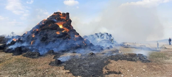 Amasya’da 90 ton saman alev alev yandı
