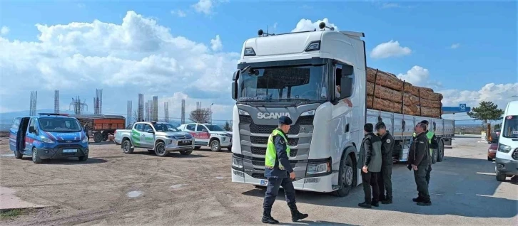 Amasya’da orman ve jandarma ekiplerinden orman suçlarına karşı denetim
