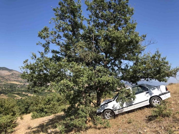 Amasya’da uçuruma uçan otomobili ağaç kurtardı: 1 yaralı
