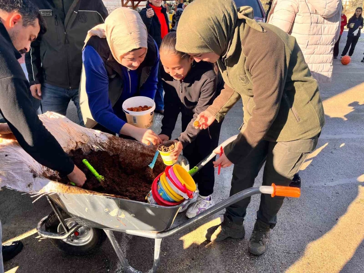 Anamur’da ceviz tohumları toprakla buluşturuldu
