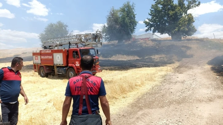 Anız yangınında ağaçlar zarar gördü
