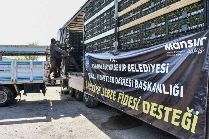 Ankara Büyükşehir’den çiftçilere sebze fidesi desteği
