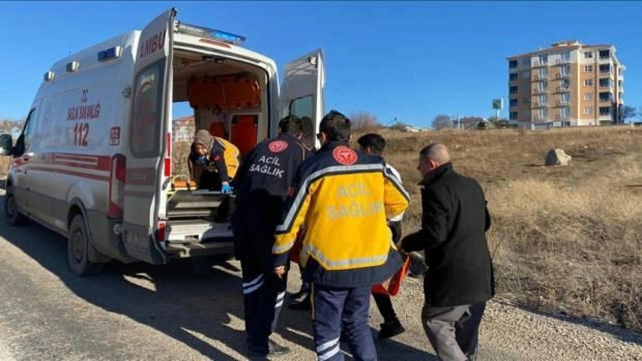 Ankara'da başıboş sokak köpekleri çocuğa saldırdı!