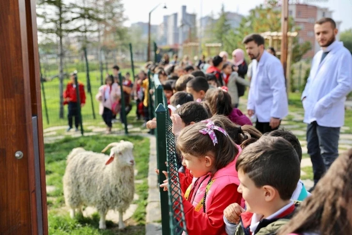 Ankaralı öğrenciler Endemik Vadi’de buluştu
