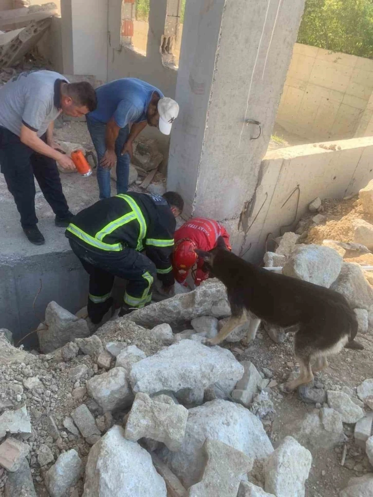 Anne köpek, yavrularını kurtaran ekiplerin başından bir an olsun ayrılmadı
