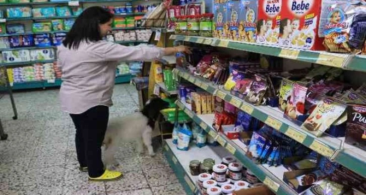 Anneleri ölmüş kuzulara evinde bebek gibi bakıyor