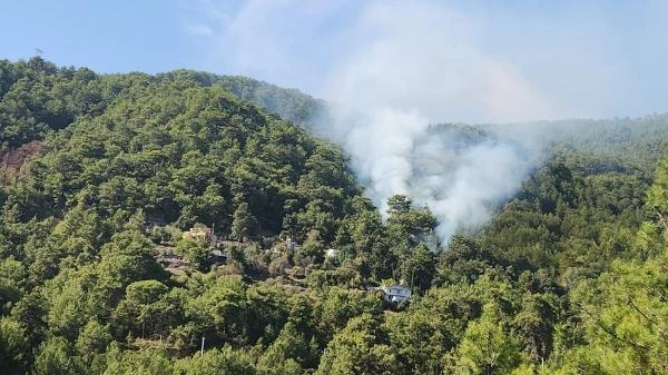 Antalya'da 2 dönüm orman yandı