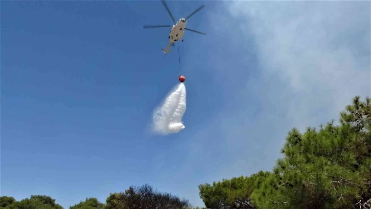 Antalya’da çamlık alandaki yangın kontrol altına alındı
