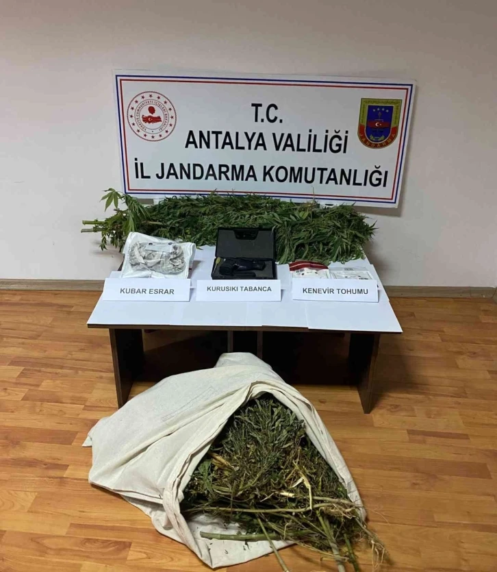 Antalya’da evinin bahçesindeki serada kenevir yetiştiren şahıs yakalandı
