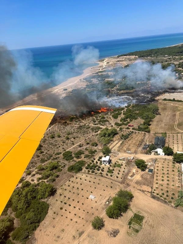 Antalya'da orman yangını (2)