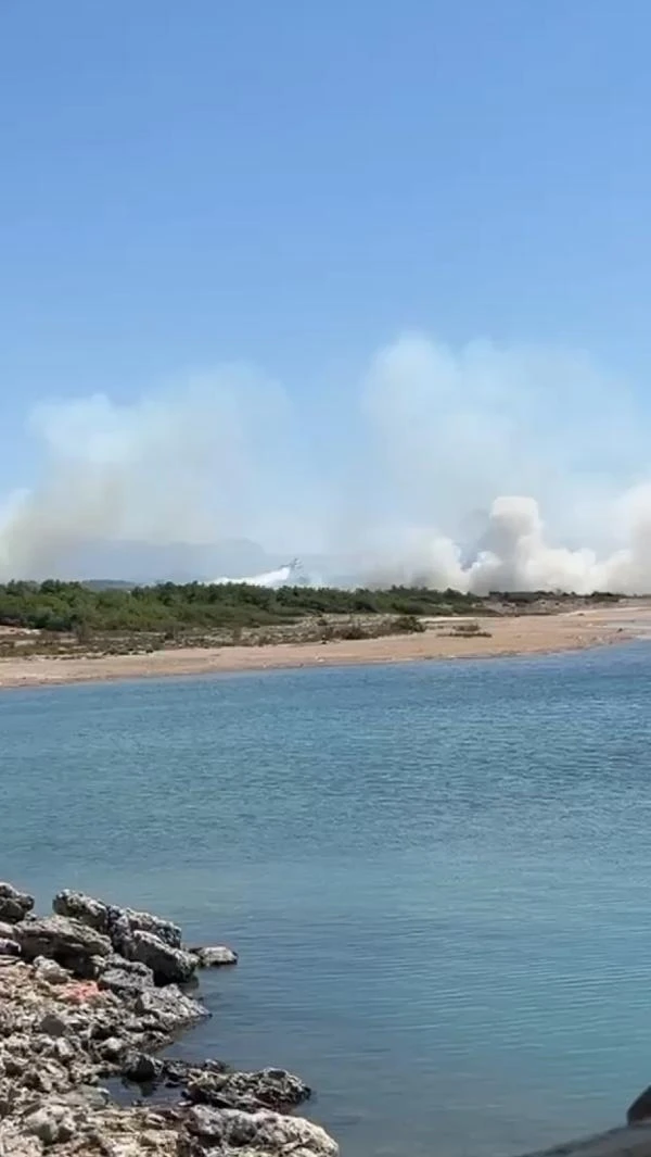 Antalya'da orman yangını 