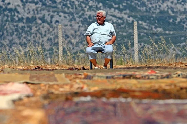 Antalya’da tarlalarda milyonluk ’organik halı’ nöbeti
