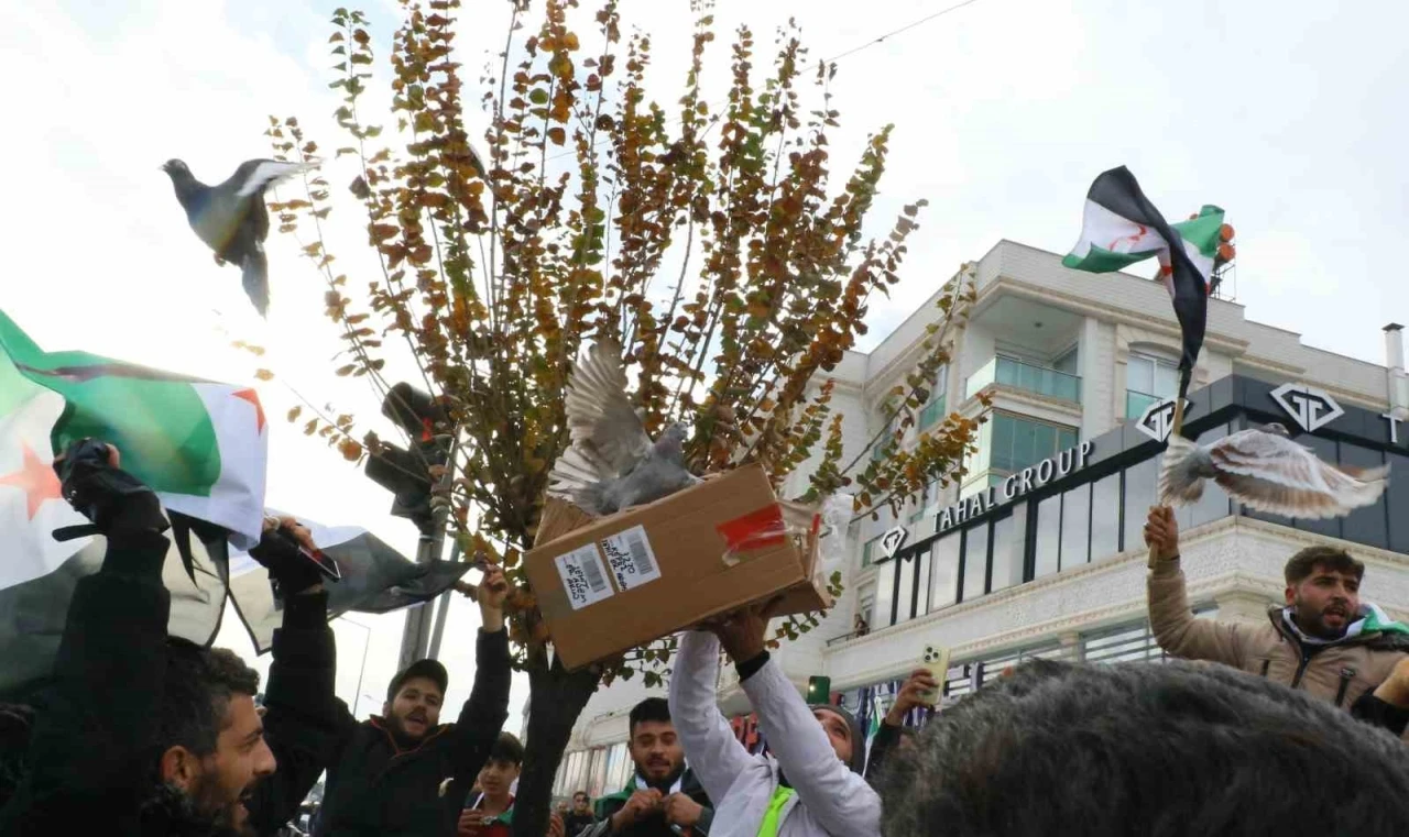 Antalya’daki Suriyeliler rejimin yıkılmasını gökyüzüne beyaz güvercin bırakarak kutladı
