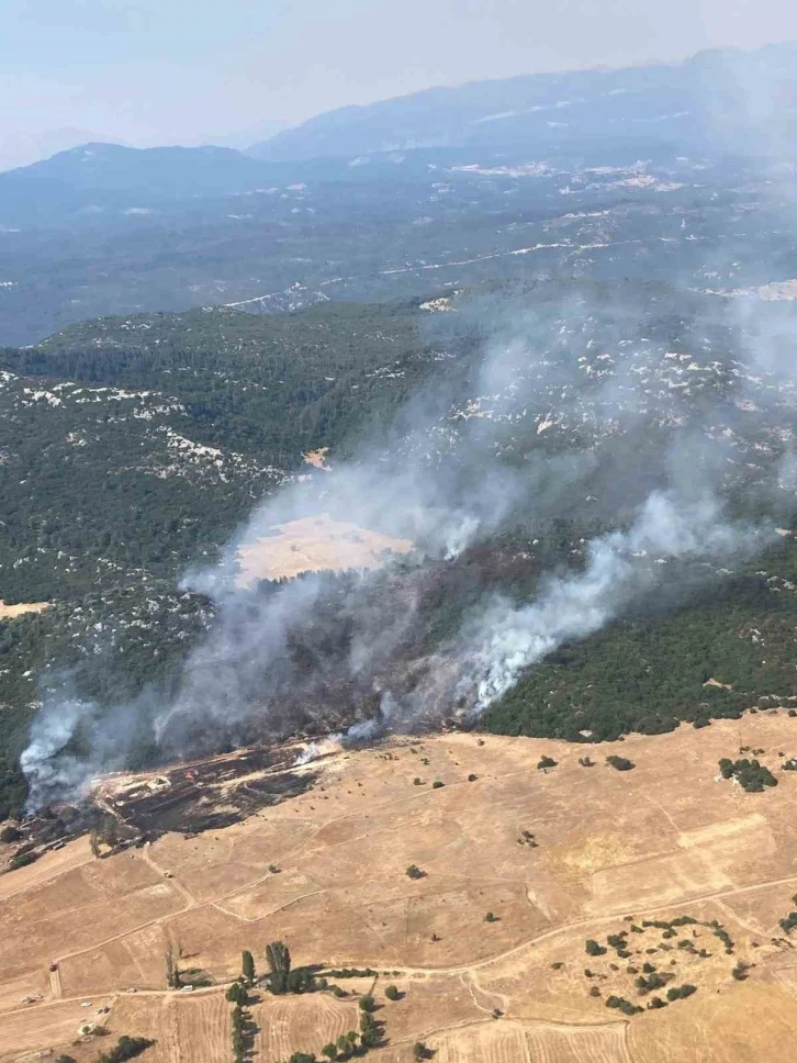 Antalya Kaş’ta orman yangını kontrol altına alındı
