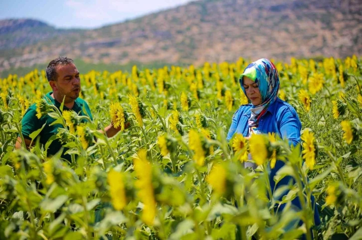 Antalya tarımına geçen yıl 143 milyonluk destek sağlandı
