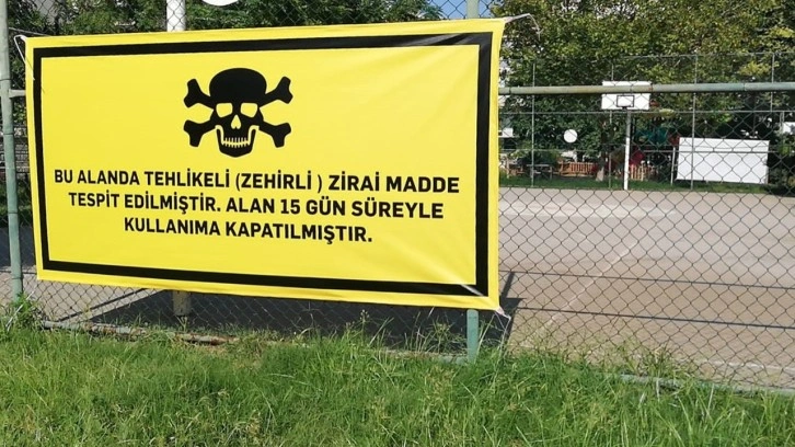 Antalya'da 8 köpek, parka dökülen tarımsal zehir nedeniyle canından oldu