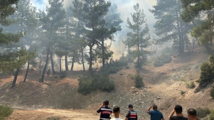Antalya'da orman yangını! Yangına havadan ve karadan müdahale ediliyor