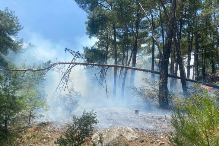 Antalya'da orman yangını!