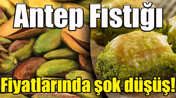 Antep Fıstığı fiyatlarında şok düşüş!