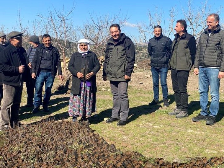 Antep fıstıkları ormanla buluştu