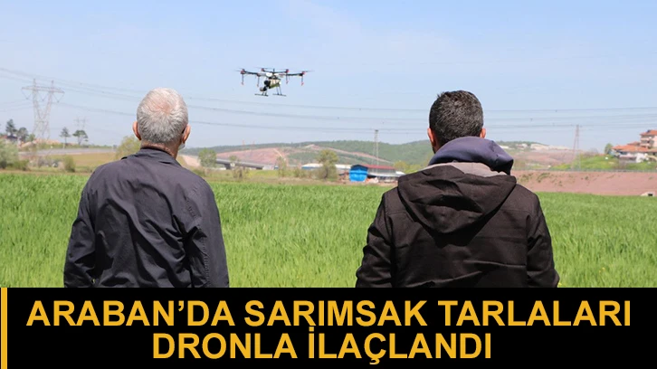 Araban’da sarımsak tarlaları dronla ilaçlandı