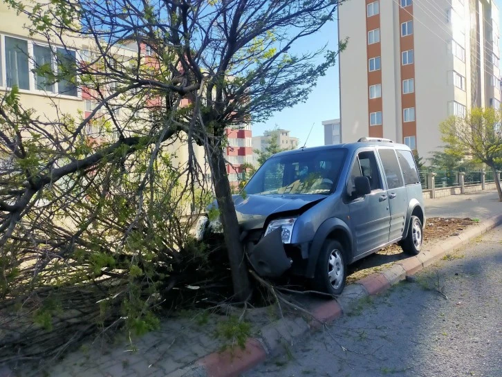 Araç çarptığı ağacı yerinden söktü